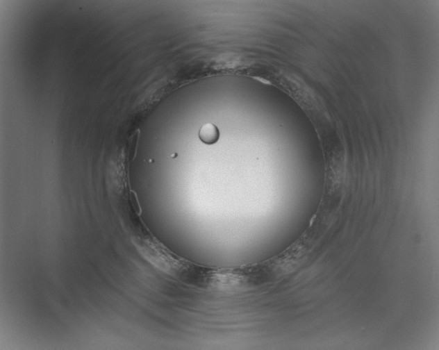 X0000073460376200608111516