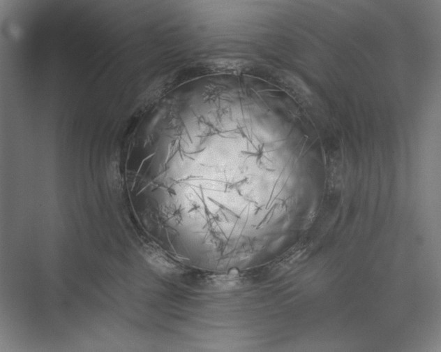 X0000073460377200608111516