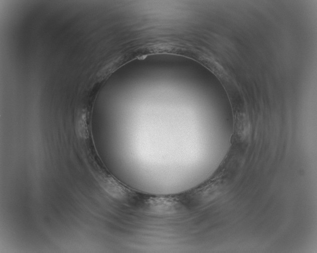 X0000073460378200608111516