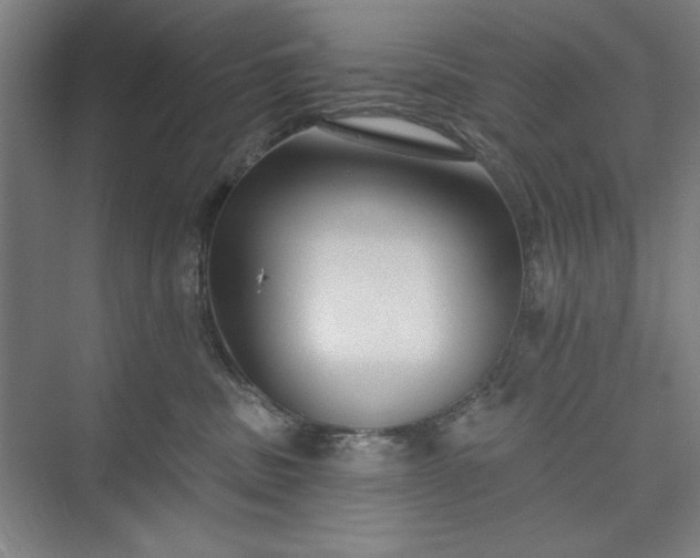 X0000073460379200608111516