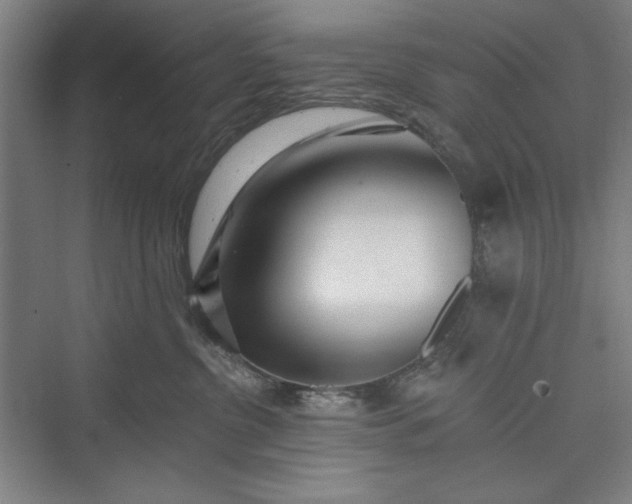 X0000073460380200608111516