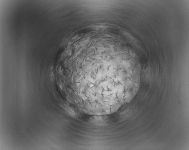 X0000073460381200608111516