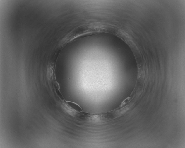 X0000073460382200608111516