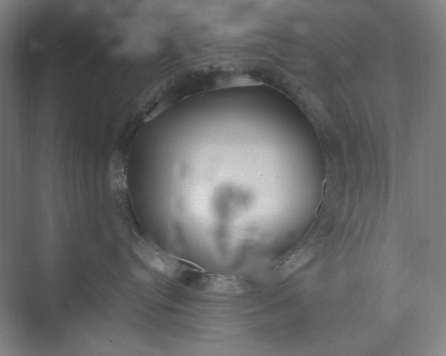 X0000073460384200608111516