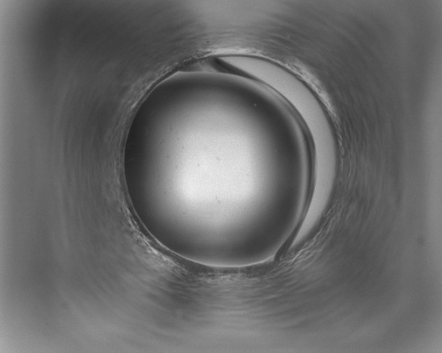 X0000073460385200608111515