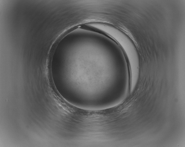 X0000073460387200608111515