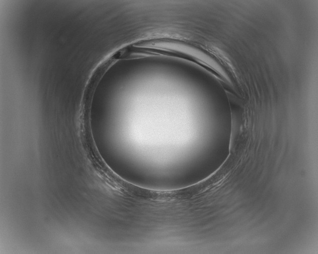 X0000073460388200608111515