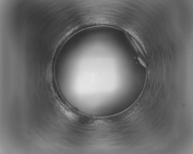 X0000073460390200608111515