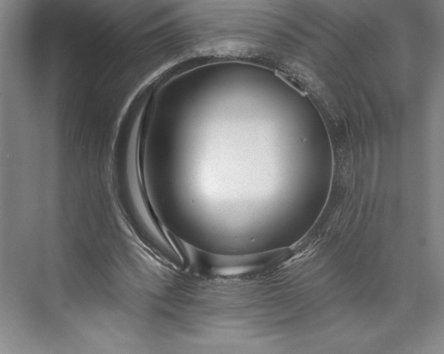 X0000073460392200608111515