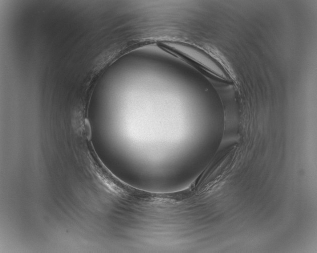 X0000073460393200608111515