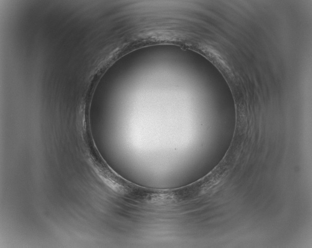 X0000073460398200608111515