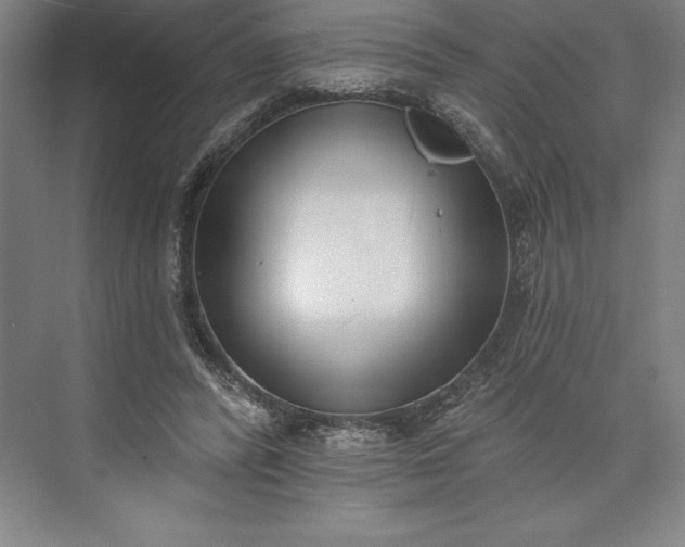 X0000073460400200608111515