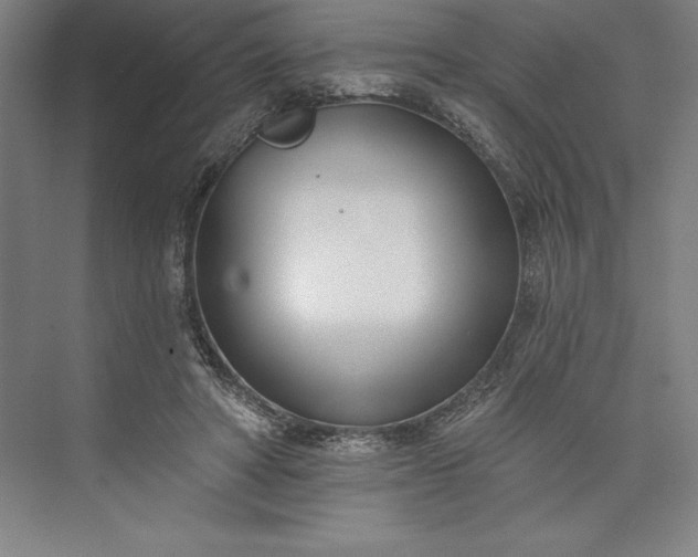 X0000073460402200608111515