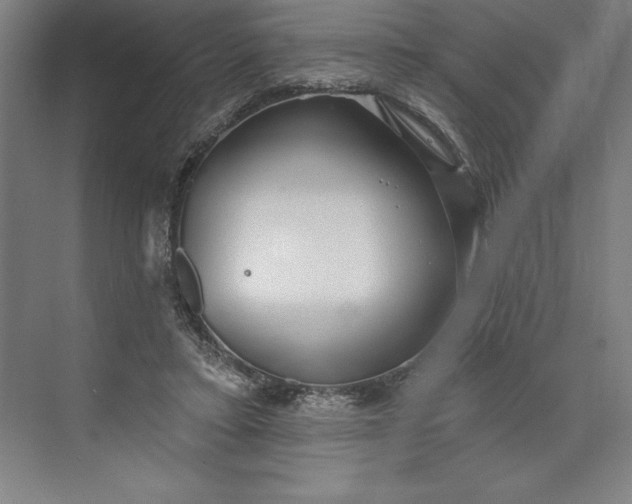 X0000073460403200608111515