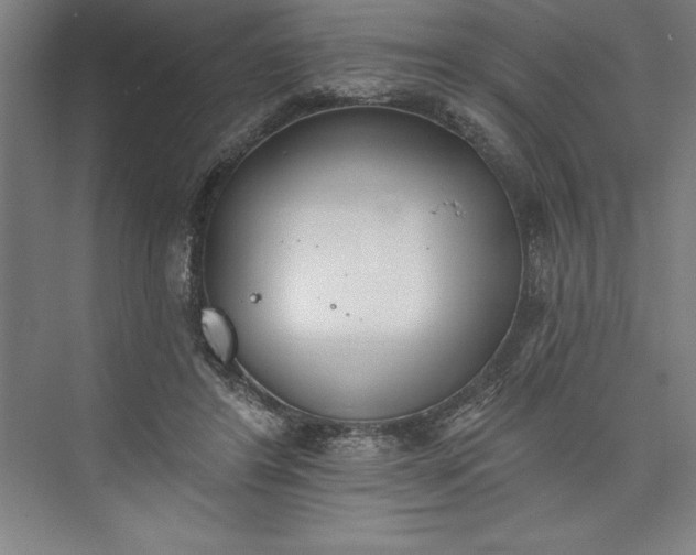 X0000073460404200608111515