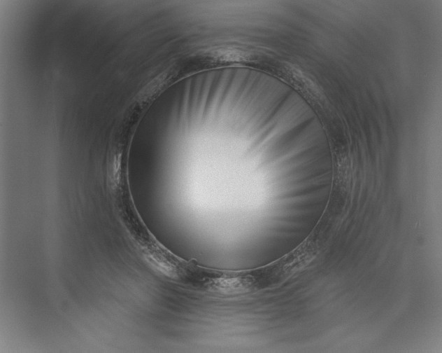 X0000073460406200608111515