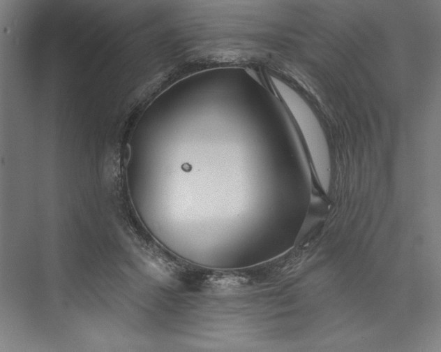 X0000073460407200608111515