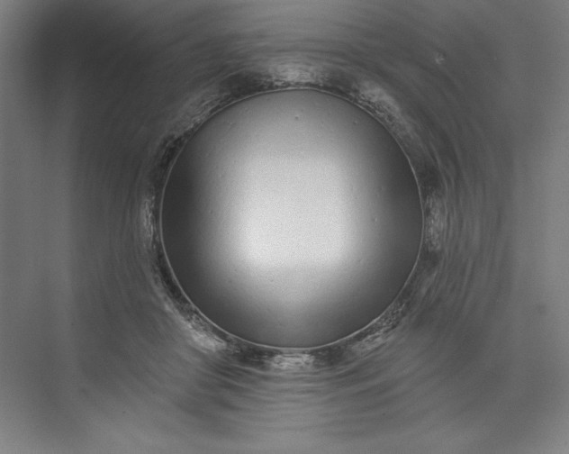 X0000073460410200608111515