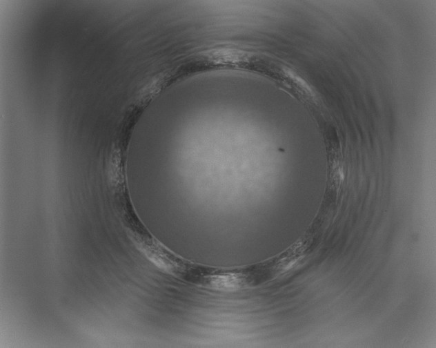 X0000073460411200608111515