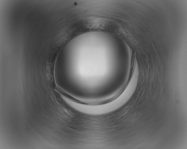 X0000073460416200608111515