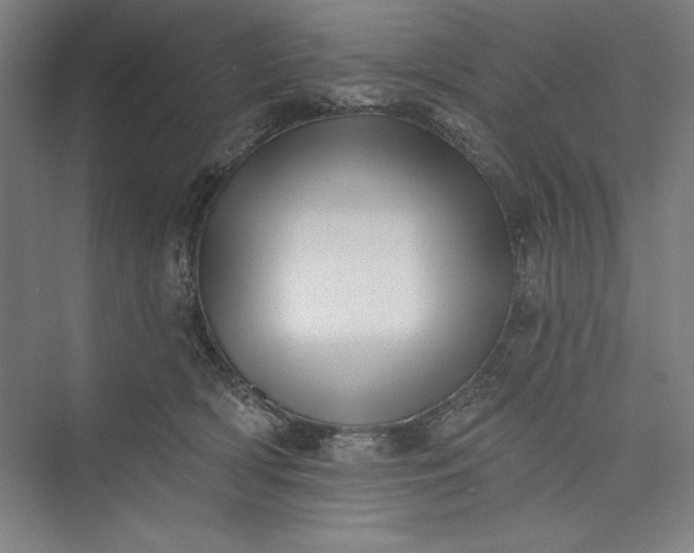 X0000073460418200608111515