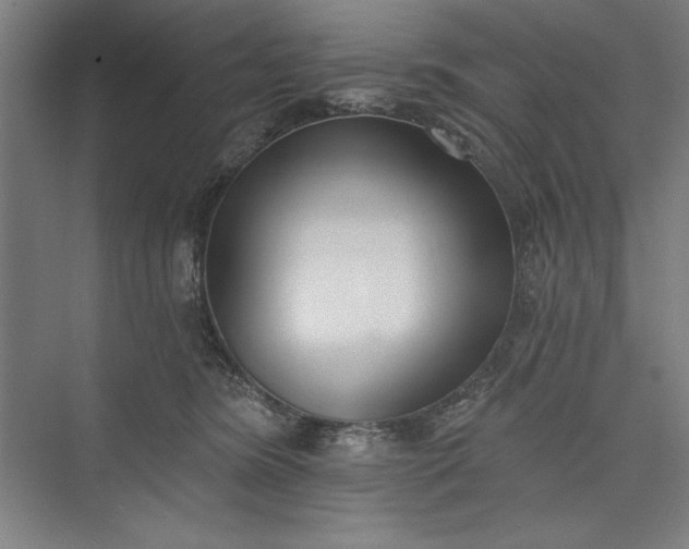 X0000073460420200608111515