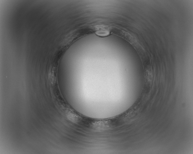 X0000073460422200608111515