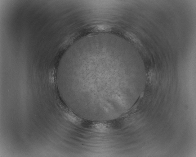 X0000073460423200608111515