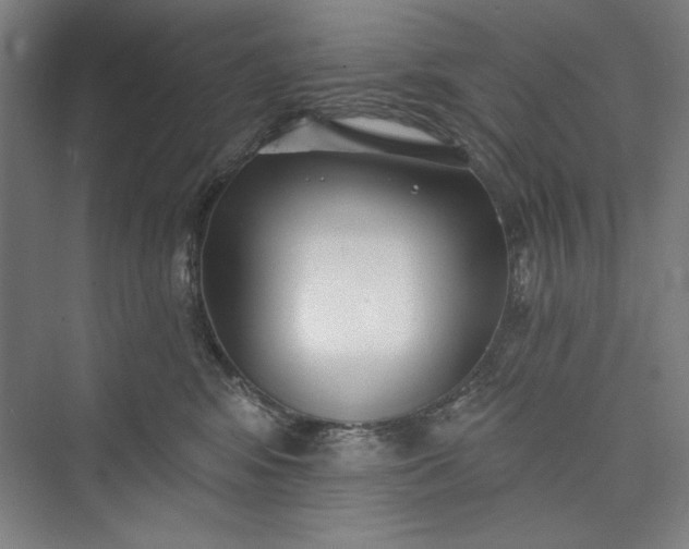 X0000073460424200608111515