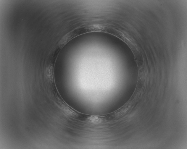 X0000073460425200608111515