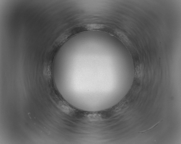 X0000073460426200608111515