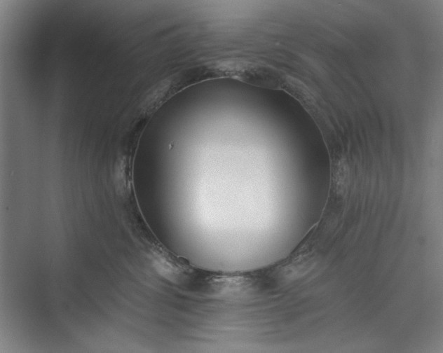 X0000073460428200608111515