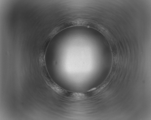 X0000073460429200608111515