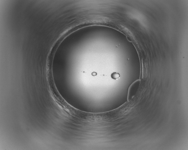 X0000073460435200608111514