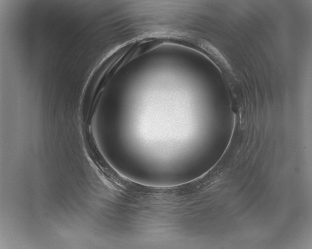 X0000073460436200608111514