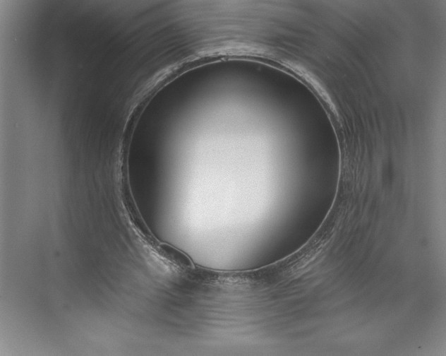 X0000073460437200608111514