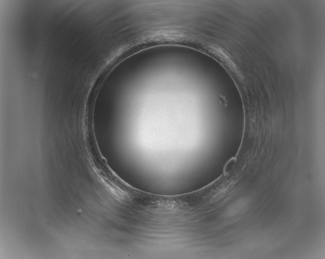 X0000073460439200608111514