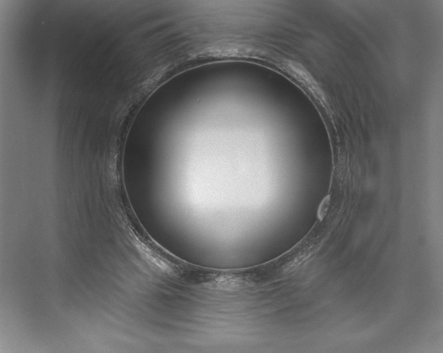 X0000073460441200608111514