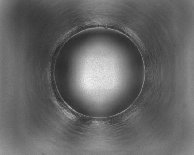 X0000073460442200608111514