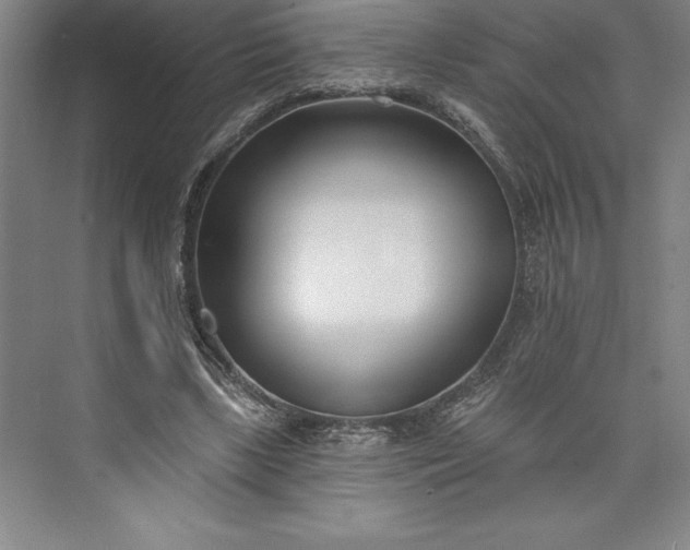 X0000073460443200608111514