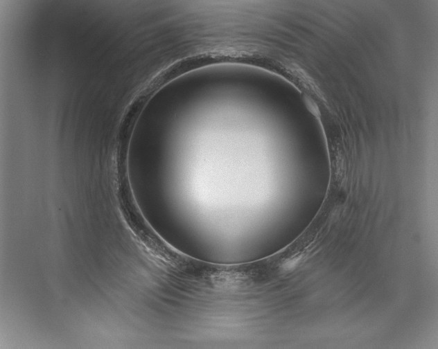 X0000073460444200608111514