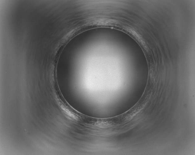 X0000073460445200608111514