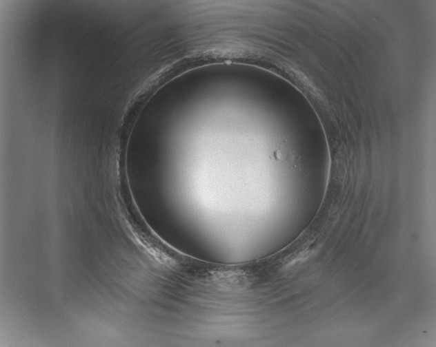 X0000073460446200608111514