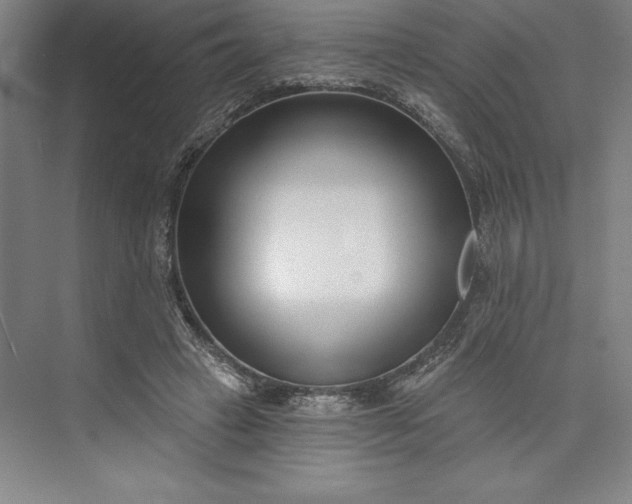 X0000073460449200608111514