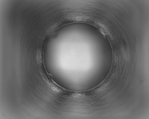 X0000073460453200608111514