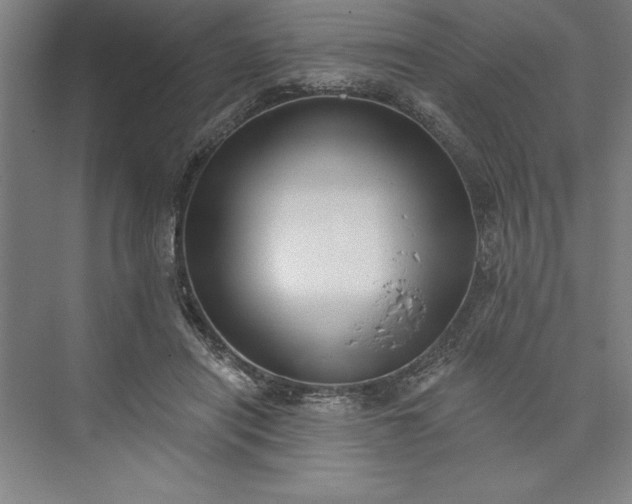 X0000073460454200608111514