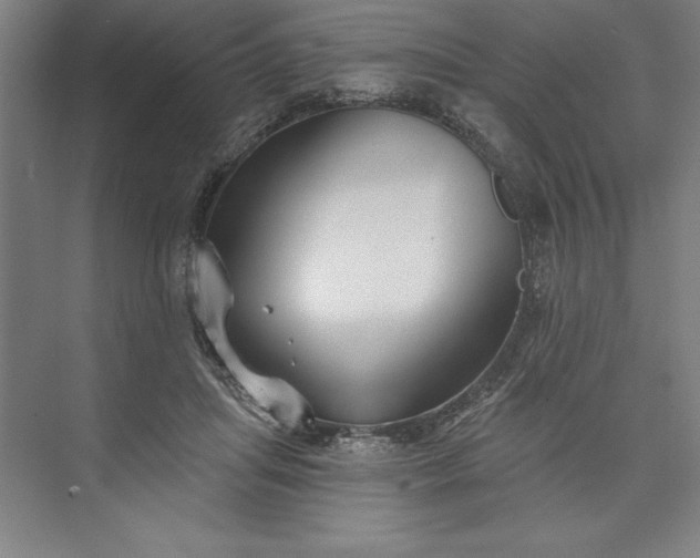 X0000073460455200608111514