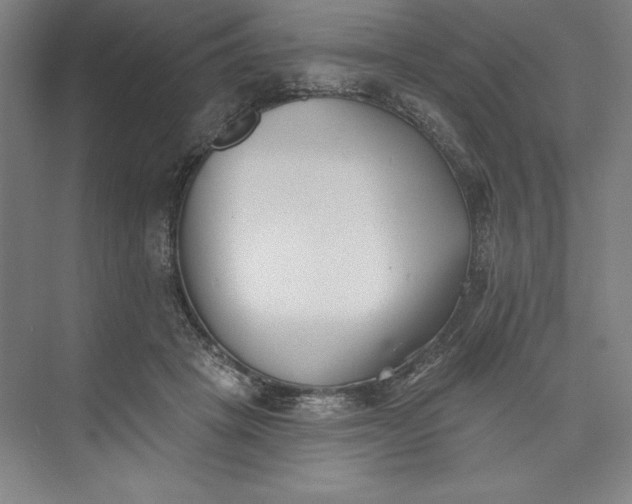 X0000073460457200608111514