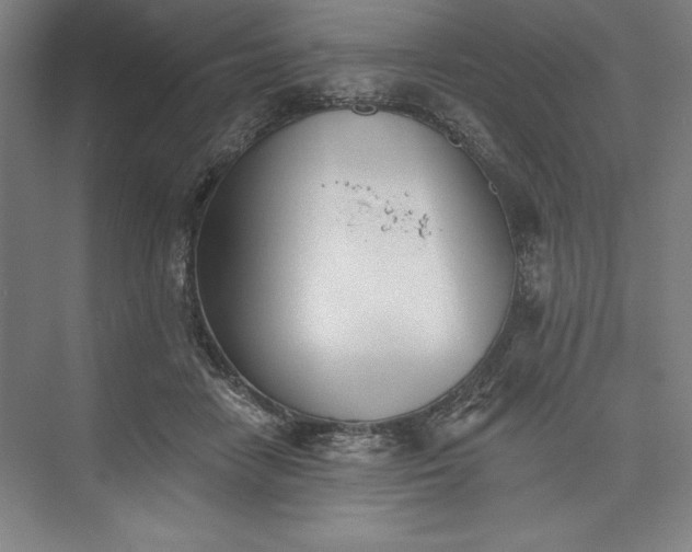 X0000073460458200608111514