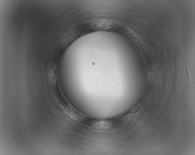 X0000073460460200608111514